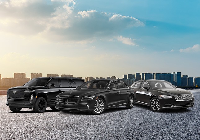 Decoding Limo Lingo for Stress-Free Rides